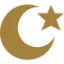 Darul Noor Islamic Centre logo
