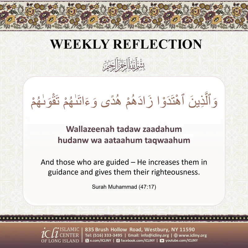 Weekly Reflection at IC LI