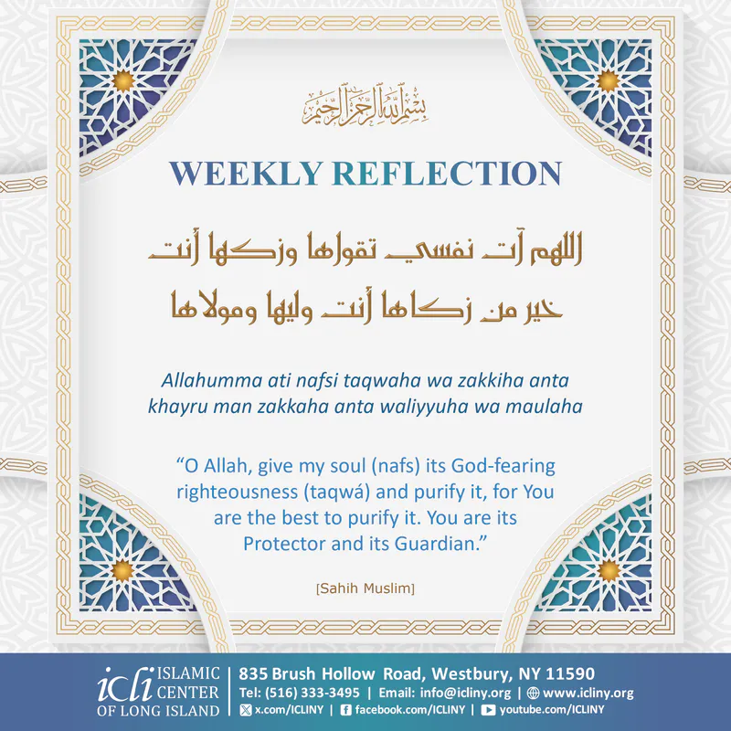 Weekly Reflection